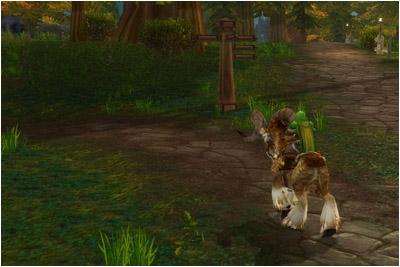 Ringo riding through the Hillsbrad Foothills